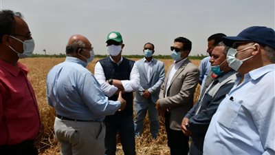 محافظ الفيوم: الدولة ملتزمة بكافة أجهزتها بوضع خطة واضحة لتوريد الأقماح بأسعار ثابتة