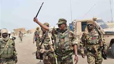 الجيش التشادي يعلن وجود انقسامات في القوات النظامية بين صفوفه