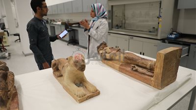 قبل ترميمها.. تفاصيل تماثيل الإلهة سخمت داخل المتحف المصري الكبير (خاص)