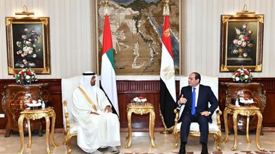 ما لم يعلن في زيارة بن زايد للقاهرة.. خبراء يكشفون التفاصيل (خاص)