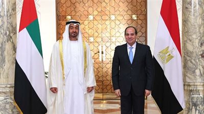 السيسي وبن زايد يتفقان على ضرورة خروج جميع المسلحين الأجانب من ليبيا