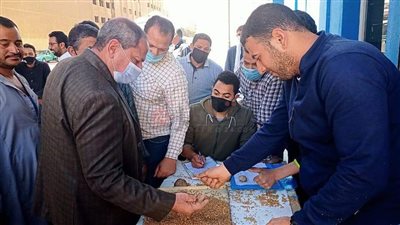 محافظ المنيا: الشون والصوامع استقبلت 7865 طنا من الأقماح