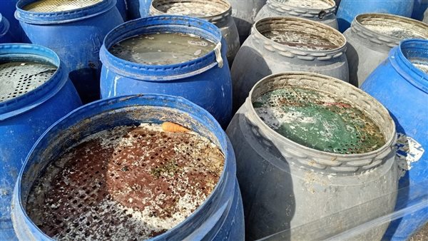 ضبط أغذية فاسدة في