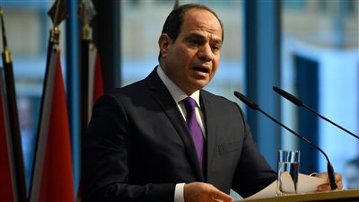السيسي: إجراء انتخابات مجلس إدارة اتحاد الصناعات خلال 8 أشهر