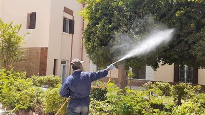 حملة لمقاومة الحشرات والبعوض بدمياط (صورة)