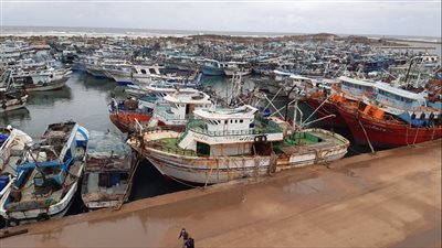 بدء تنفيذ قرار وقف الصيد بالبحر الأحمر وخليج السويس حتى نهاية أغسطس