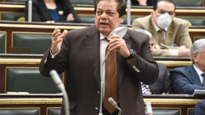 وكيل مجلس النواب يدعو لضرورة عمل بحيرات داخل الصحاري للاستزراع السمكي