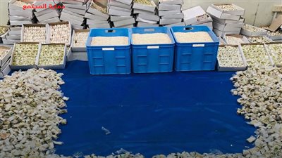 سقطوا بـ مخدرات قيمتها 2.5 مليون جنيه.. التحقيق مع عصابة الكبتاجون بالشرقية