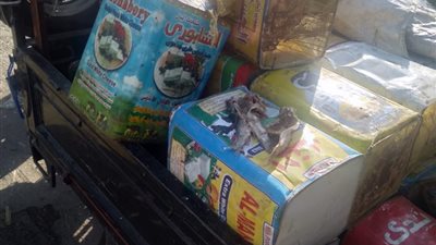 بيطري المنيا: إعدام طن ونصف فسيخ فاسد بمغاغة