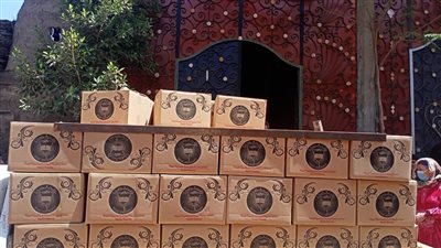 جامعة طنطا توزع 300 كرتونة مواد غذائية للأسر الأكثر احتياجًا بقرى زفتى