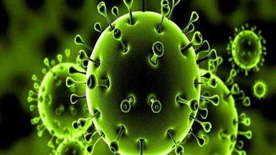 دراسة: فيروس كورونا يستخدم الخلايا العصبية في الحبل الشوكي للوصول إلى الدماغ 