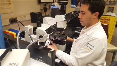 باحث مصري يفوز بجائزة أفضل بحث في علم المصريات بدراسة التاريخ الاجتماعي للغذاء