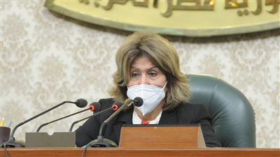 فريدة الشوباشي: مصر فتحت ملف ترشيد الطاقة أسوة بدول حققت نجاحات اقتصادية كبيرة