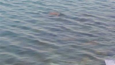 انتشال جثة طفلة سقطت بترعة بالعسيرات في سوهاج