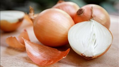 البصل بـ 16 جنيها.. أسعار الخضروات والفاكهة اليوم الأربعاء 9 أغسطس 2023 