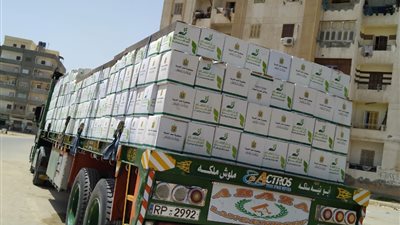 20 ألف كرتونة مواد غذائية من بنك الطعام لقرى 