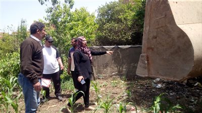 وزير الزراعة يتابع إزالة التعديات على الأراضي.. ويؤكد: لا تهاون