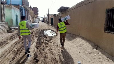 أكثر من 20 ألف كرتونة.. مبادرة لدعم الأسر والمناطق الأكثر احتياجا في شهر رمضان (صور) 