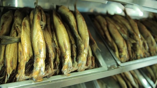 الرنجة والفسيخ