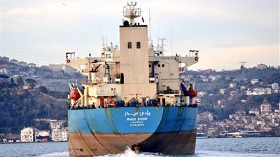 فتوى قضائية تجيز صرف مكافآت بالدولار للعاملين بشركة ملاحة 