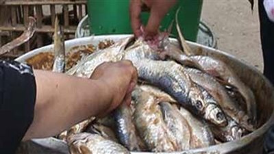 بالتزامن مع احتفالات شم النسيم.. تعرف على أضرار الفسيخ‎ على الجسم