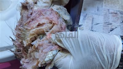 ضبط 100 كيلو ملوحة غير صالحة للاستهلاك الآدمي بسوهاج (صور) 