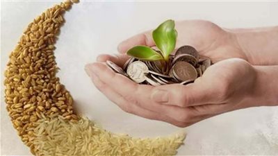 يجوز إخراجها نقدًا.. 