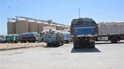 وكيل تموين المنيا: توريد 52 ألف طن قمح إلى الصوامع