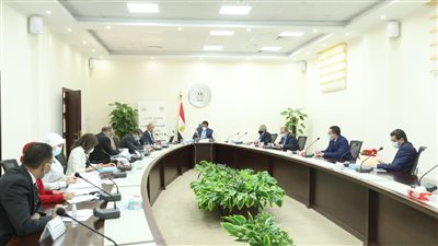 التعليم العالي توافق على إنشاء المركز القومي لتطوير التعليم الفني والتكنولوجي