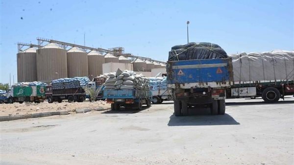 توريد القمح بالمنيا