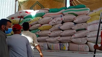 منذ بدء الموسم.. توريد 7044 طنًا من القمح في الأقصر