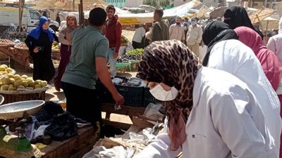 التحفظ على 350 كيلو أسماك و