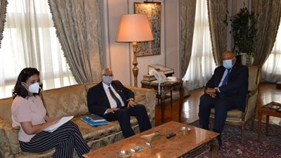 وزير الخارجية يؤكد حرص مصر على مواصلة مساندة مالي لدعم استقراره