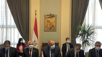 وزيرا الخارجية والري خلال لقائهما المبعوث الأمريكي: تعنت إثيوبيا ورفضها كل الأطروحات أفشل مفاوضات سد النهضة