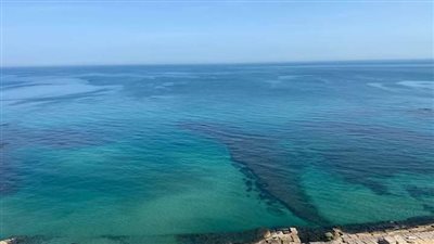 بقعة سوداء تشبه الزيت في البحر تثير الذعر بالإسكندرية.. و