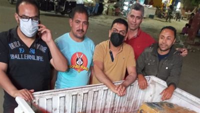 الطب البيطري بالمنوفية: ضبط 200 كيلو سمك مجمد في الباجور منتهي الصلاحية