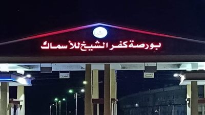 البلطي بـ 32 جنيهًا.. انخفاض في أسعار الأسماك ببورصة كفر الشيخ اليوم