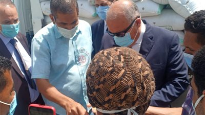 منذ بدء الموسم.. صوامع وشون قنا تستقبل 75 ألف طن من القمح (فيديو وصور)