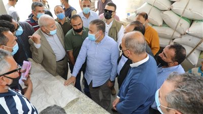 توريد 65 ألف طن قمح لصوامع المنوفية والانتهاء من حصد 84 ألفًا