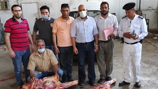 الطب البيطري بالمنوفية