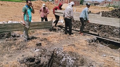 إزالة 5 حالات تعد على الأراضي الزراعية بـ 4 مراكز في البحيرة 