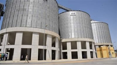 خبير اقتصادي: الدولة أنشأت مستودعات تخزين للغذاء والطاقة منذ 5 سنوات تحسبا للطوارئ | فيديو