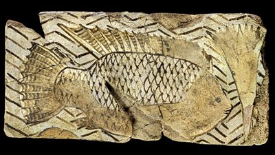 مصدر بالآثار يكشف مصير نقل قطعة 