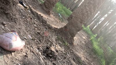 بسبب دورة رمضانية.. ارتفاع عدد قتلى مشاجرة البدرشين إلى 4 أشخاص (صور)