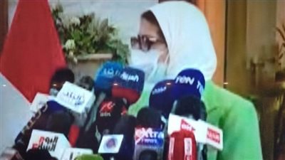 هالة زايد: الوضع الوبائي لفيروس كورونا في مصر مستقر 