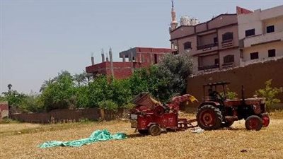 حصاد 281 ألف فدان قمح في الشرقية منذ بدء الموسم (صور)