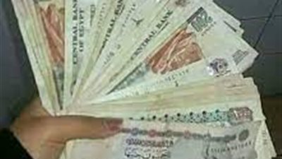 الحد الأدنى للأجور للقطاع الخاص يحمي ثلاثة أرباع القوى العاملة