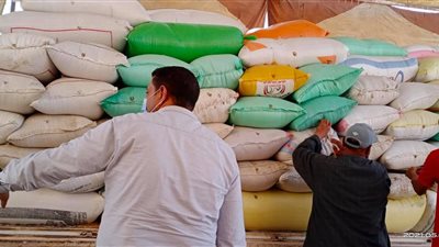 شون وصوامع كفر الشيخ تستقبل 128 ألف طن قمح منذ بدء الموسم