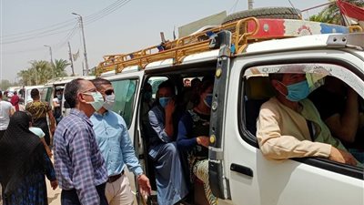 تحرير 12 محضر عدم ارتداء الكمامة لمواطنين في ملوي بالمنيا