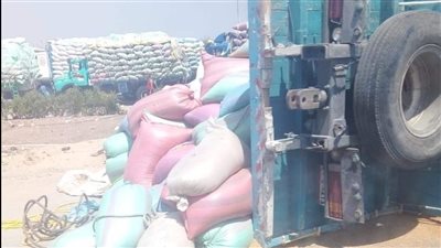 إصابة سائق في انقلاب سيارة محملة بالقمح في بني سويف